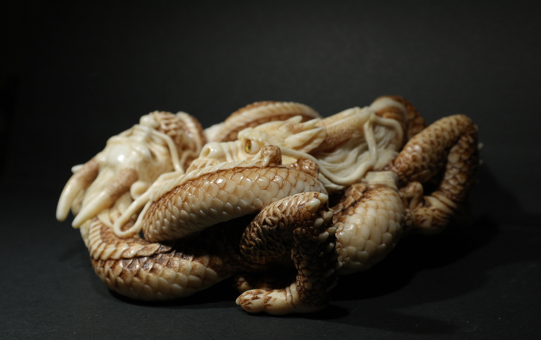 Two intertwined dragons08